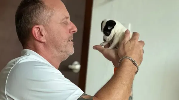 the puppy no one thought would live