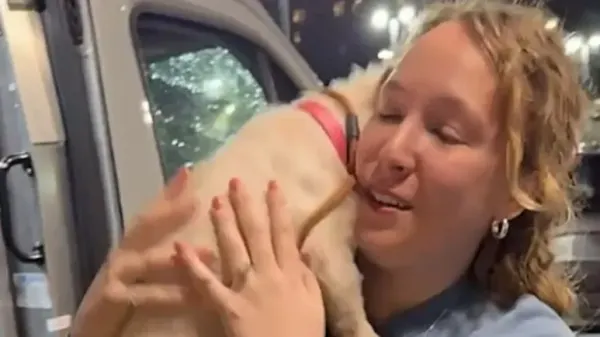 the rescue dog who chose them instantly