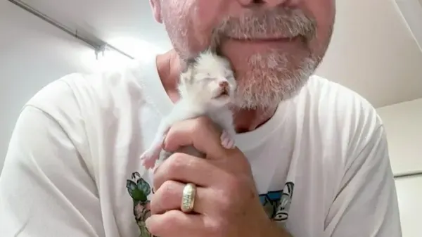 tiny kitten big love