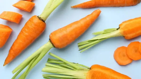 are carrots good for your pets