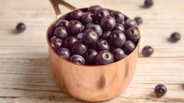 can you feed acai berry to your pets