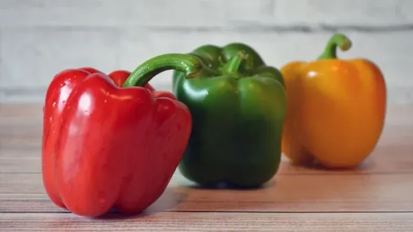 can you feed bell peppers to your pets