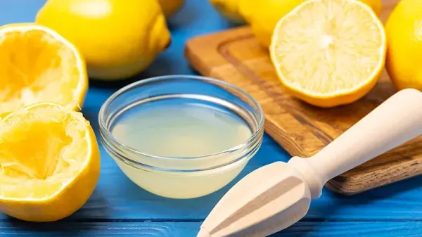 can you feed lemons to your pet