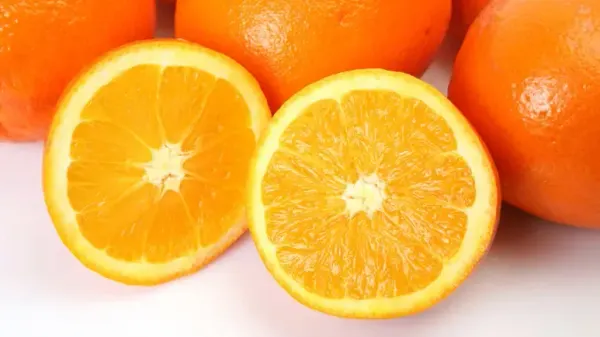 can you feed your pet oranges