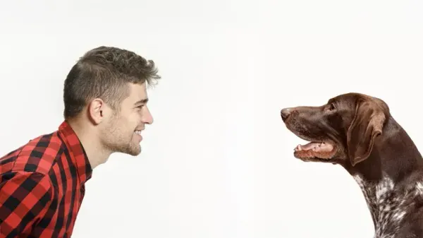 dogs mimic owners facial expressions
