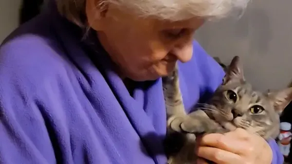 grandma vs cat is my favorite show