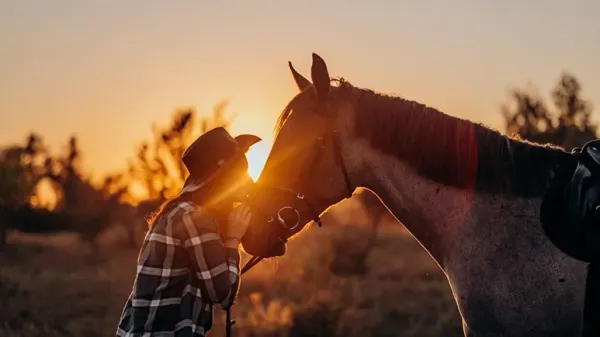 horses ask humans help