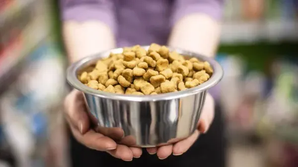 intermittent fasting for pets