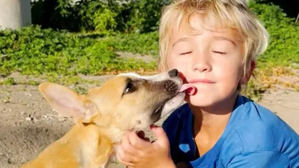 little boy refused to leave them behind