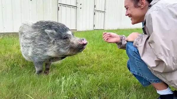 meet the animals who got a second chance