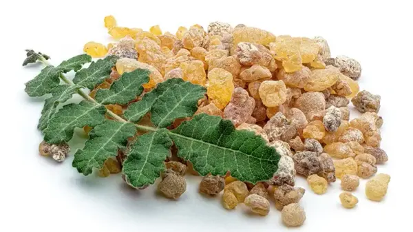 boswellia serrata dog joint health
