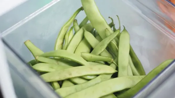 can you feed green beans to your pet