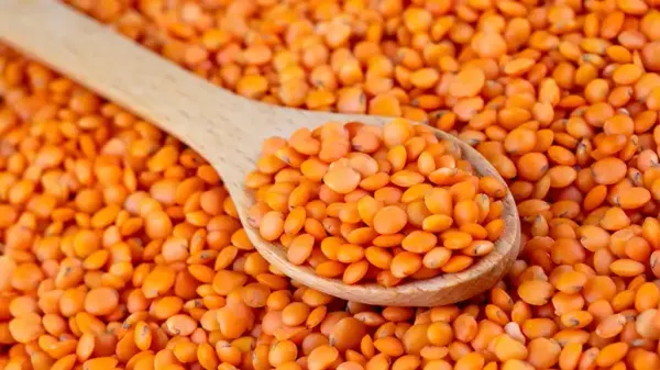 can you feed lentils to your pets