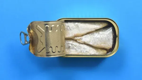 can you feed sardines to your pet