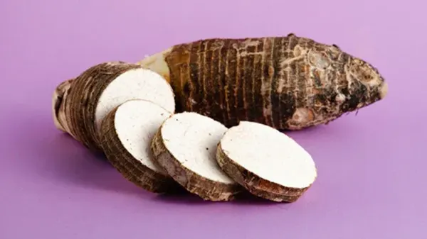 can you feed taro to your pets