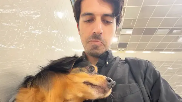one dog sitting gig turned into an adventure