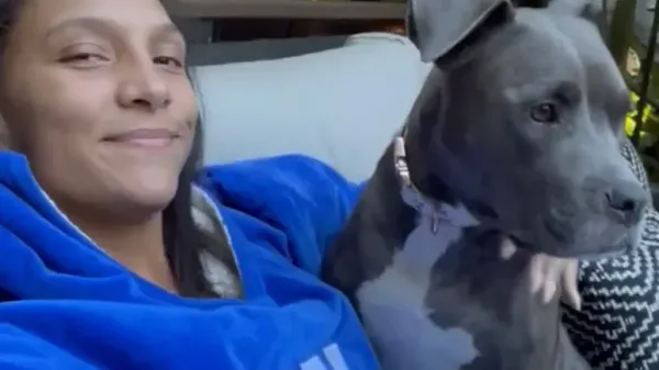 one dog started an entire movement