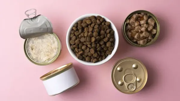 pets health over convenience food