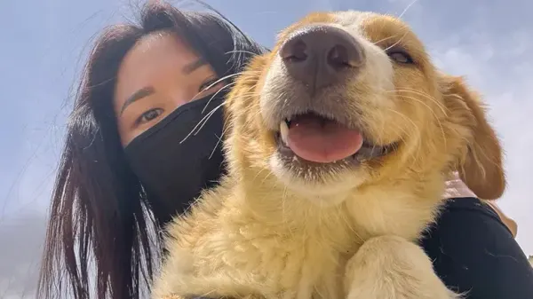 she crossed the world for one stray dog