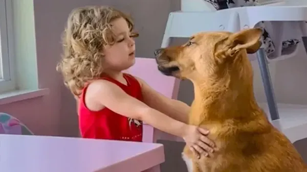 the rescue dog who found her little girl
