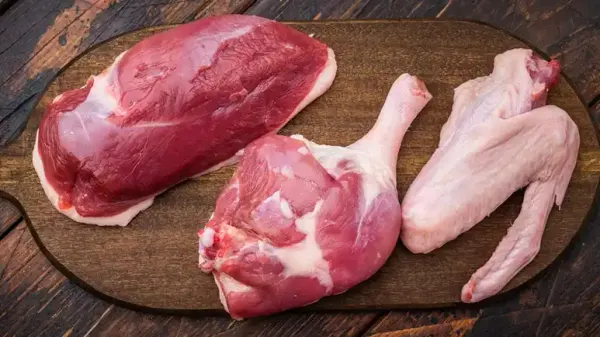 can you feed duck meat to your pet