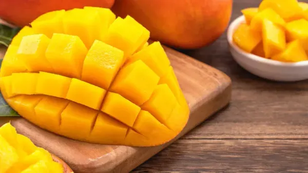 can you feed mango to your pet