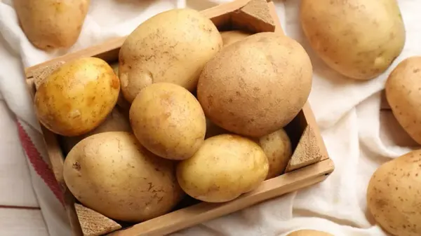 can you feed russet potato to your pets