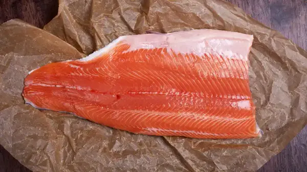 can you feed salmon to your pets