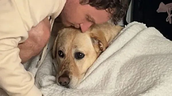 Dog Won't Go to Bed Until Dad Tucks Her In