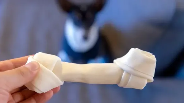 rawhide chews dogs