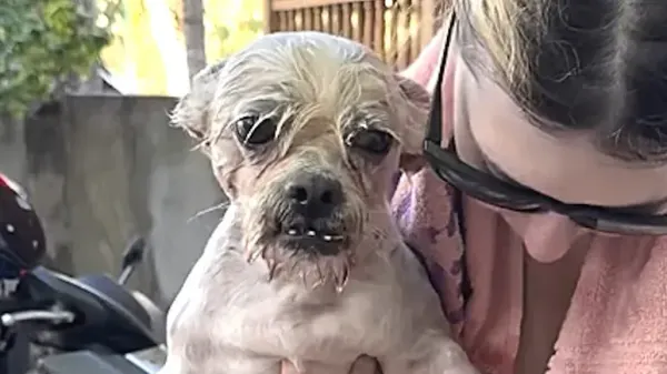 they called her too ugly to adopt