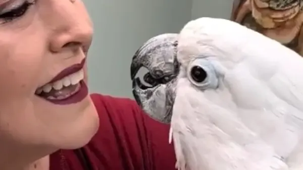 this bird got a second chance to see