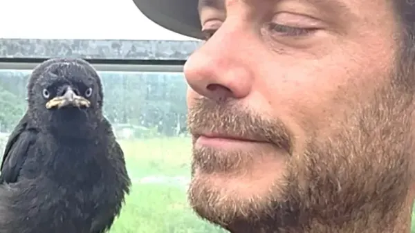 wild bird still comes home to visit his humans