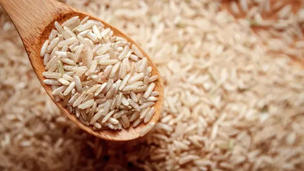 can you feed brown rice to your pets
