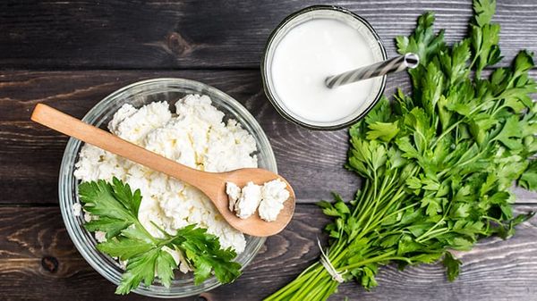 how do probiotics benefit your pets