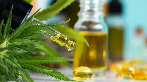 thc toxicosis in dogs