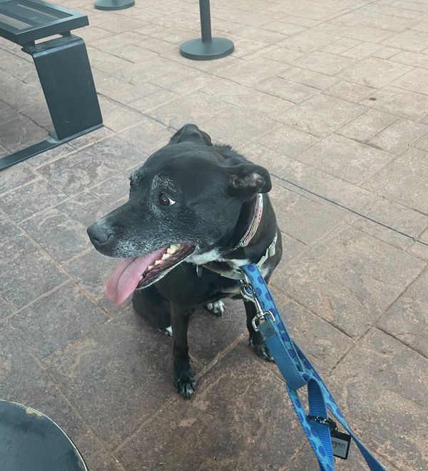 Saying Goodbye to Morgan