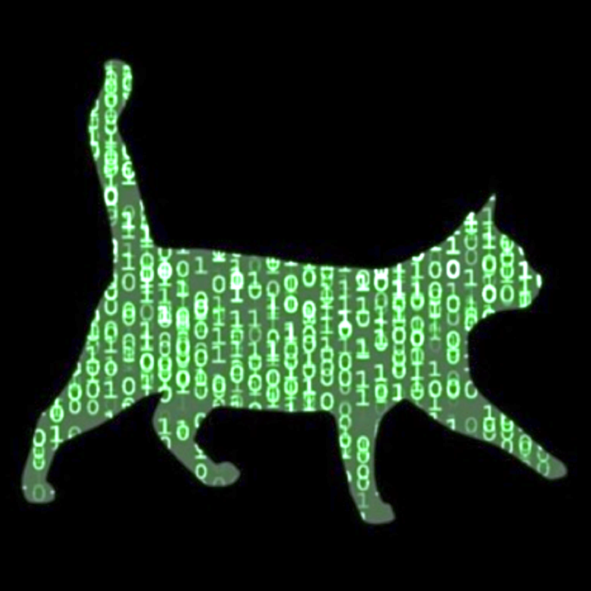 ~this week in security~