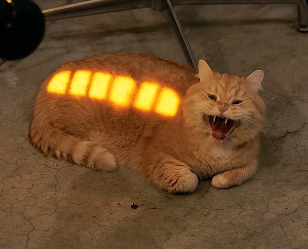 an orange cat lying on the floor, with the sunlight beaming through the windows on them in a way that makes it look like they have six bars of cell service.