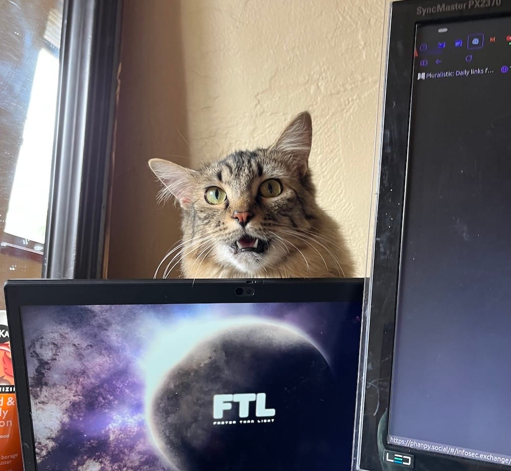 Maharet is a grey, brown, and orange tabby who can be seen mid-meow as they're sitting behind two of their humans' computer monitors, and looking at them taking a photo.