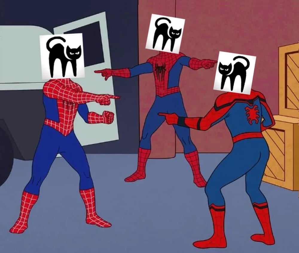 a meme of three Spidermen pointing at each other, with the BlackCat ransomware gang's logo over the heads of each Spiderman. This is a very badly made image, I'm sorry. It's very "web design is my passion" energy, but you get the idea.