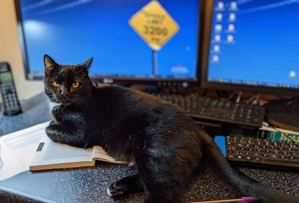 Piet is a beautiful jet black void floof kitty who can be seen laying on their human's desk in front of two monitors.