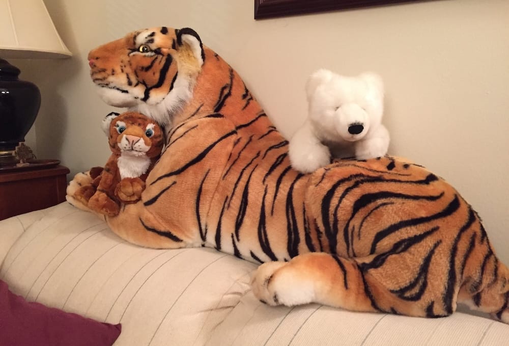 Ahsher is a life-size stripy stuffed cuddly tiger who can be seen here on a sofa, hanging out with his cuddly stuffed toy friend Boomer and his other friend Gil, who is a white fluffy bear with a black nose.
