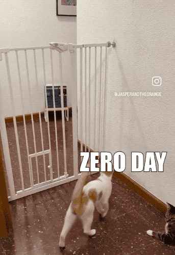 an animated GIF of a cat jumping, parkour-style, over a child-proof gate with the caption, "zero day," while another cat simply walks through the flap in the gate with a caption that redas: "admin/pass," to indicate a very simple backdoor account.