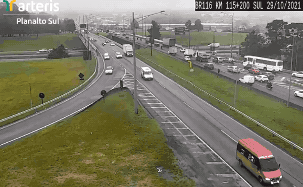 an animated GIF of a traffic camera pointing on a bunch of busy roads with cars and other vehicles passing by, and then suddenly a green and yellow parrot appears from the top of the frame as if to peek through the camera lens