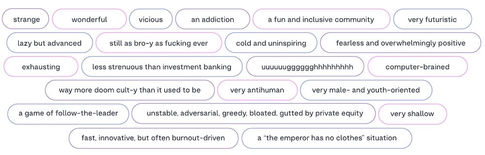 a word cloud from the Wired women in tech survey, which includes phrases such as "very futuristic," and "vicious" and "an addiction," also "very antihuman," a "game of follow-the-leader," and "fast, innovative, but often burnout-driven"