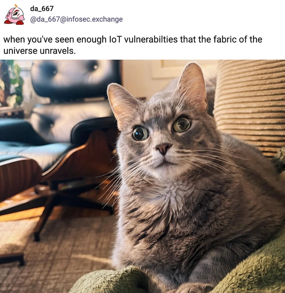 da_667 post on Mastodon, which reads: "when you've seen enough IoT vulnerabilties that the fabric of the universe unravels," followed by a grey and white cat, sat on a comfy green blanket, staring into the camera lens slightly cross-eyed