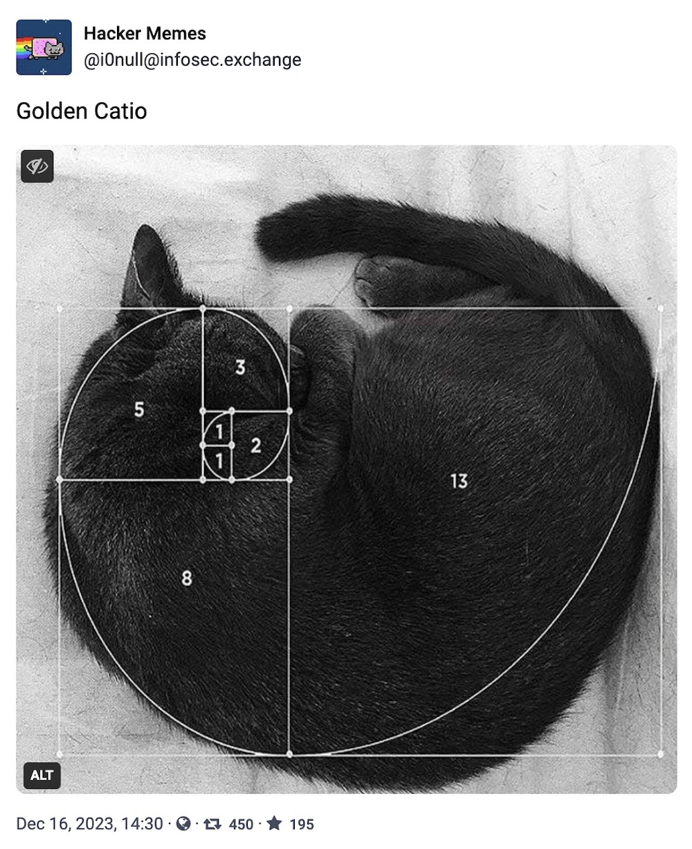 Hacker Memes toot: "Golden Catio," followed by a photo of a black cat curled up asleep with the Fibonacci curve overlaid.