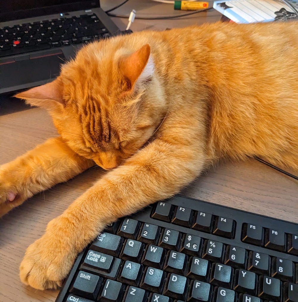 A ginger cat called Larry, asleep on a desk, whose paw is resting on a keyboard's Escape key.