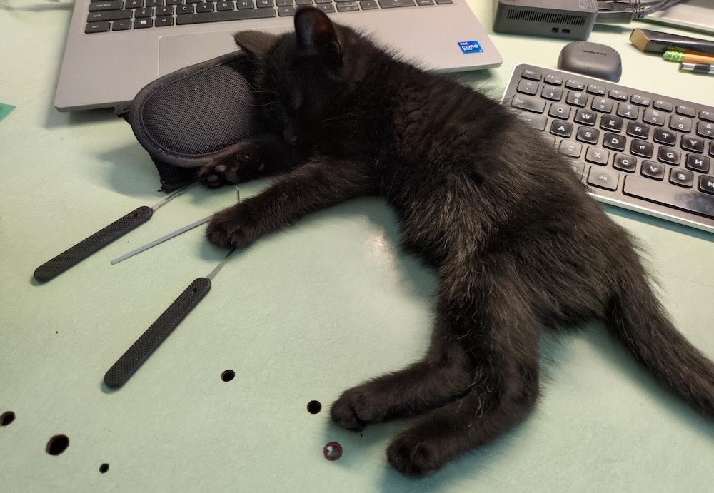 PJ is a jet black "void" floof kitten lying on a desk asleep, surrounded by a keyboard, a laptop and lock-picking tools. I cannot stress how cute this kitten is. Squeeee.